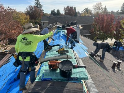 Professional Roof Replacement